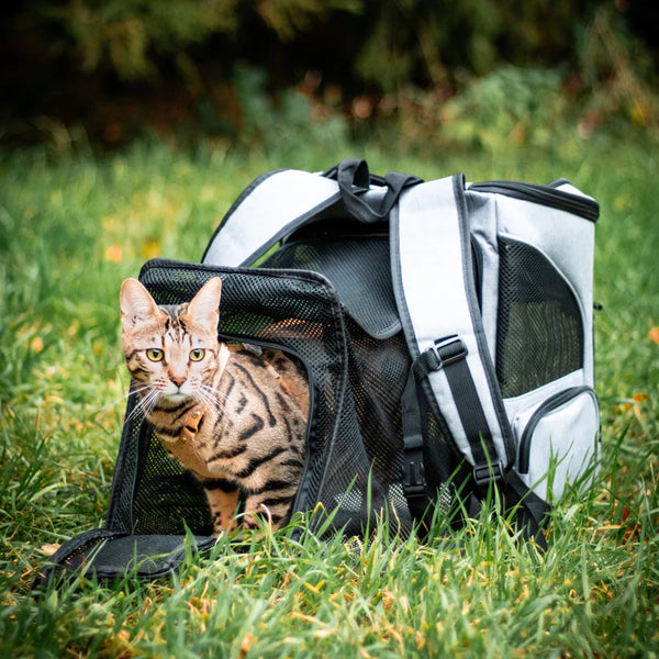 Jip | Kattenrugzak in , – Huisdierentempel