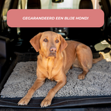 Joep | Hondendeurmat in , – Huisdierentempel