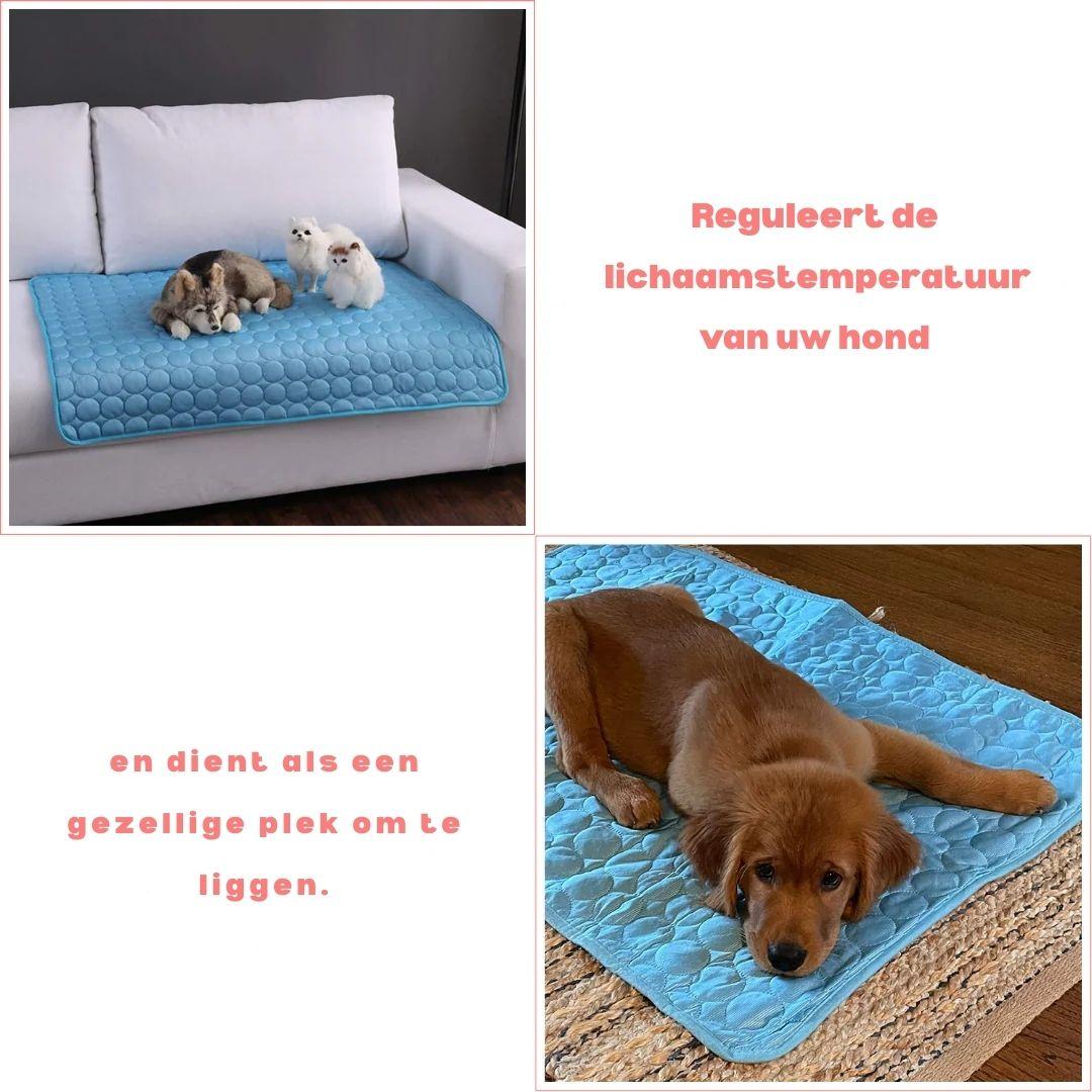 Koelmatten_voor_honden_-_CoolingMat_voor_een_verfrissende_rust