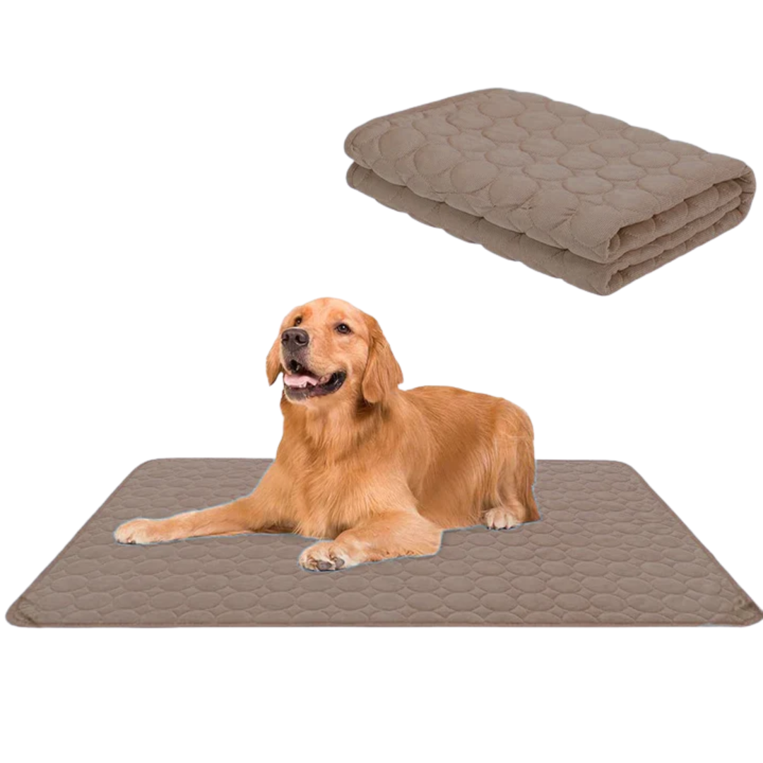 Koelmatten voor honden | Voor een verfrissende rust