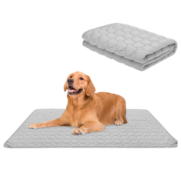 Koelmatten voor honden | Voor een verfrissende rust