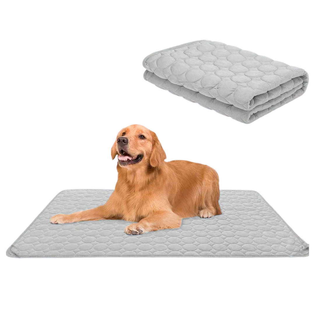 Koelmatten voor honden | Voor een verfrissende rust