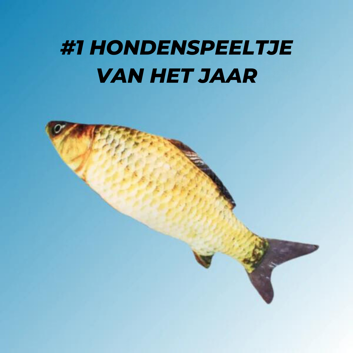 Joep | Bewegend visspeeltje