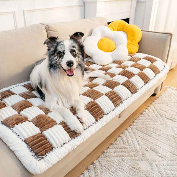 Lila | Anti Kras Huisdieren Mat & Cover in Bruin, 70x150 – Huisdierentempel