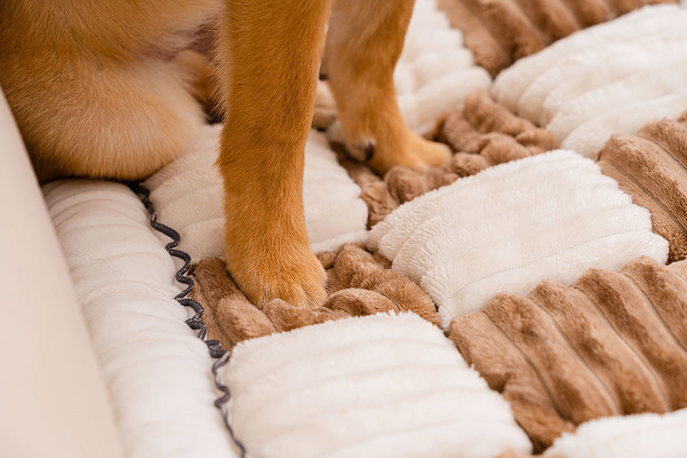 Lila | Anti Kras Huisdieren Mat & Cover in , – Huisdierentempel