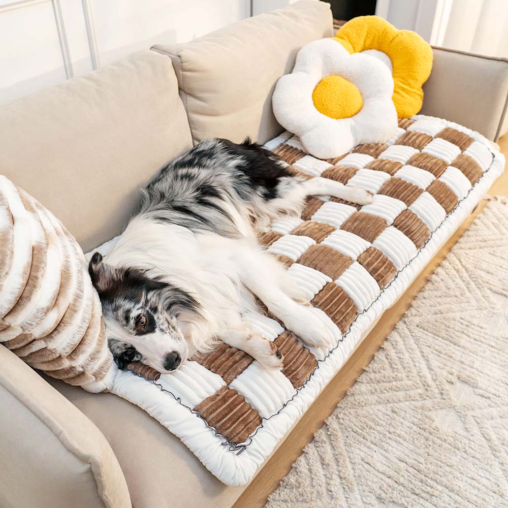 Lila | Anti Kras Huisdieren Mat & Cover in , – Huisdierentempel