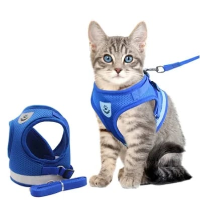 Lorena | reflectief kattenharnas in Blauw, XS – Huisdierentempel