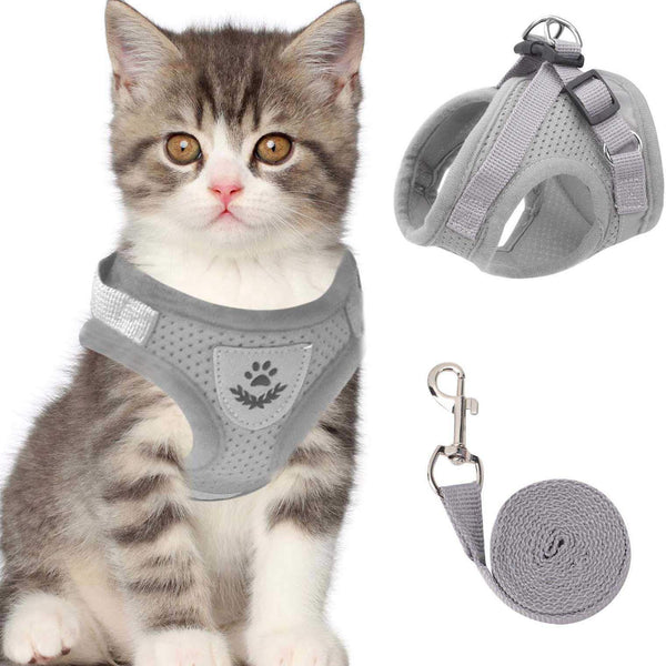Lorena | reflectief kattenharnas in Grijs, XS – Huisdierentempel
