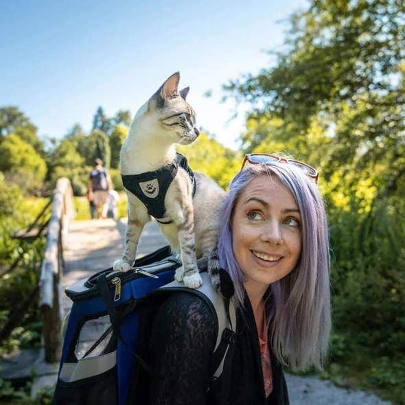 Lorena | reflectief kattenharnas in , – Huisdierentempel