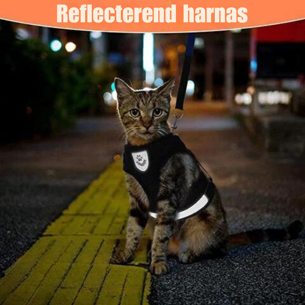 Lorena | reflectief kattenharnas in , – Huisdierentempel