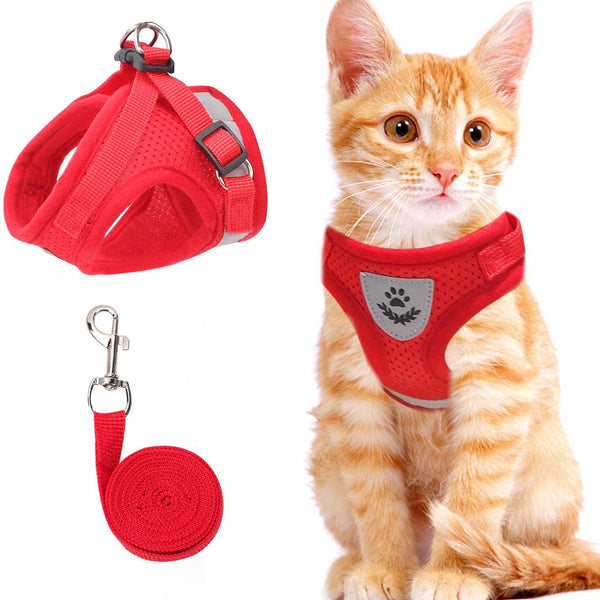 Lorena | reflectief kattenharnas in Rood, XS – Huisdierentempel