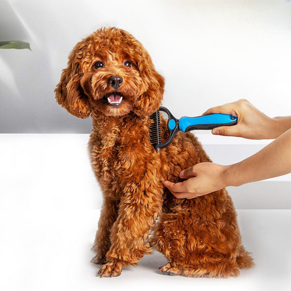 Scratchy | Honden Haren Borstel | Hondenborstel | honden, Verzorging | Huisdierentempel