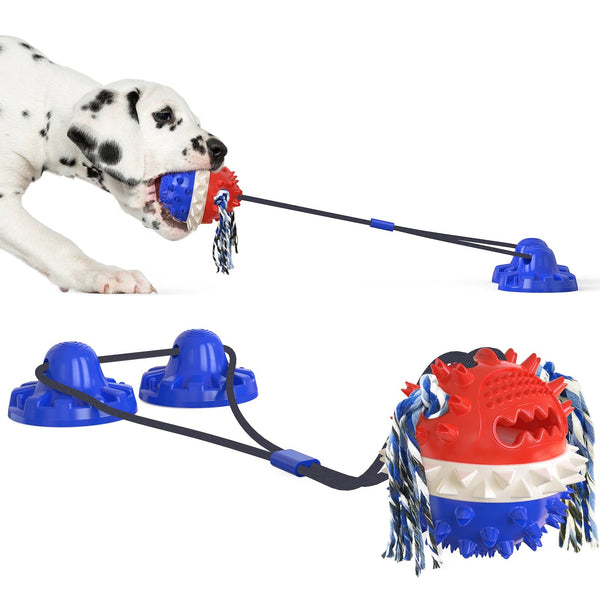 Max | De perfecte speelvriend in Blauw, – Huisdierentempel