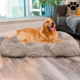 Max | Kalmerend Bed (Memory Foam) in , – Huisdierentempel