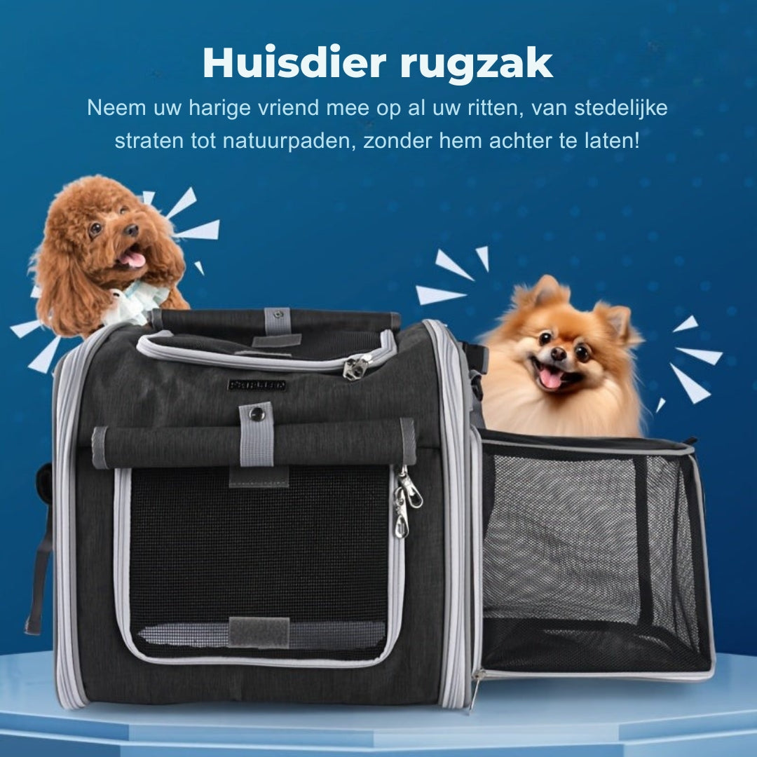 Max | Veilige en ruime fietsmand voor huisdieren in , – Huisdierentempel