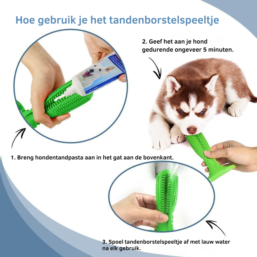 Tandenborstelspeeltje