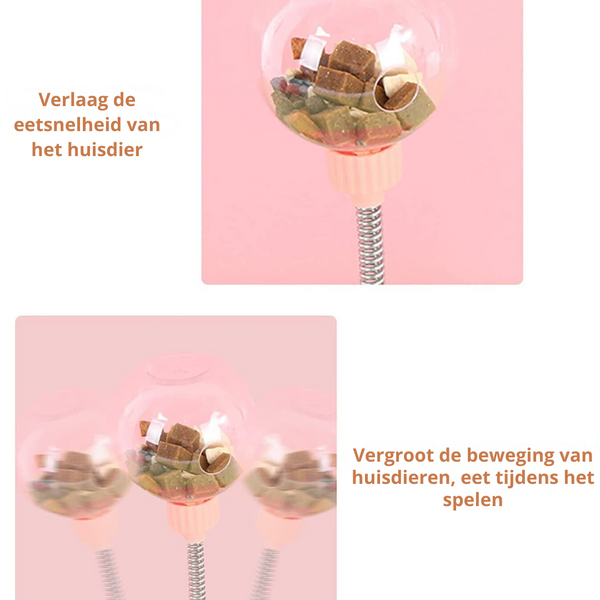 Sanne | Interactief Voerspeeltje voor Katten