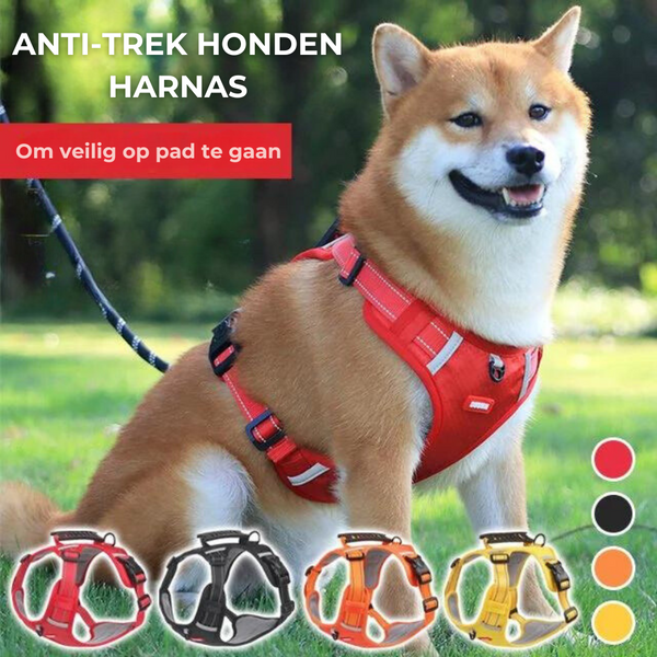 Bart | Stevig & Praktisch honden harnas | Riem en harnas | honden, Riem en accesoires, Wandelen | Huisdierentempel