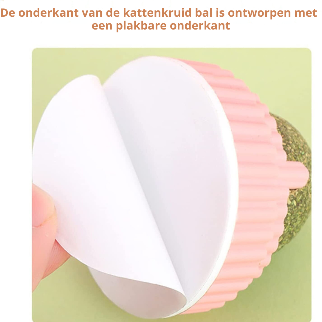 Sanne | Interactief Voerspeeltje voor Katten