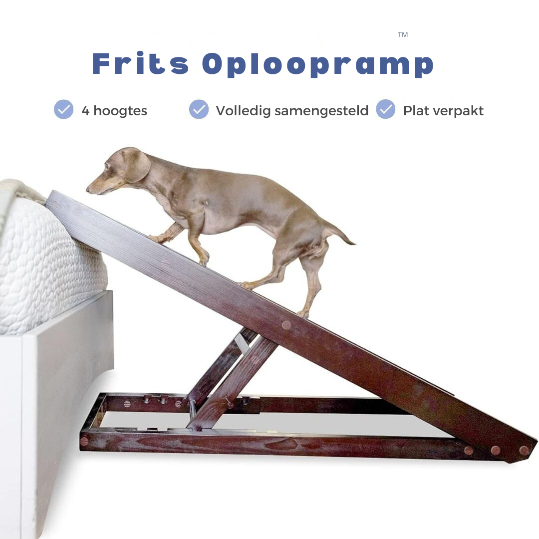 Frits | Oploopramp voor honden | Hondenoplooprampen | honden, Verzorging | Huisdierentempel