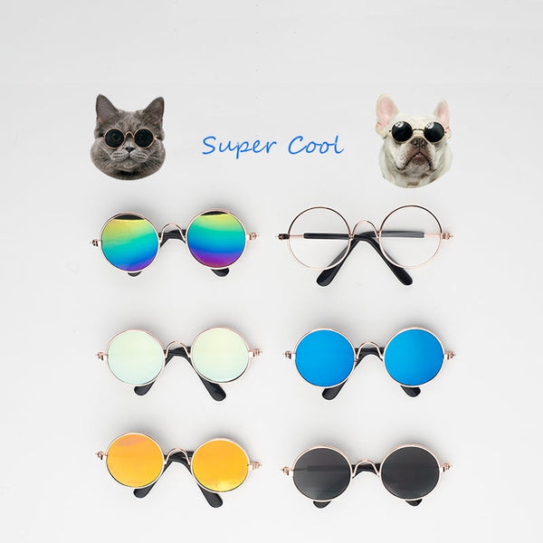 Super Coole Huisdier Zonnebril | Huisdieraccessoires | honden, katten, kleding | Huisdierentempel