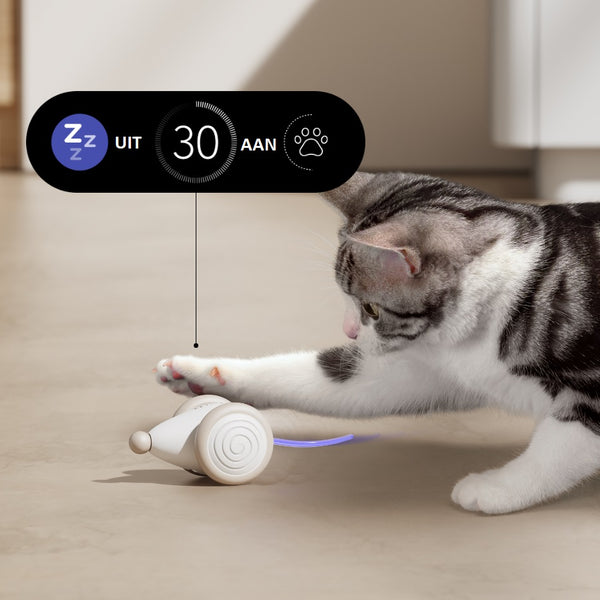Dexter | Kauwbestendig kattenspeelgoed