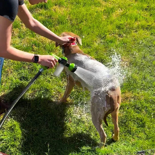 Pup | Honden douchekop met zeep