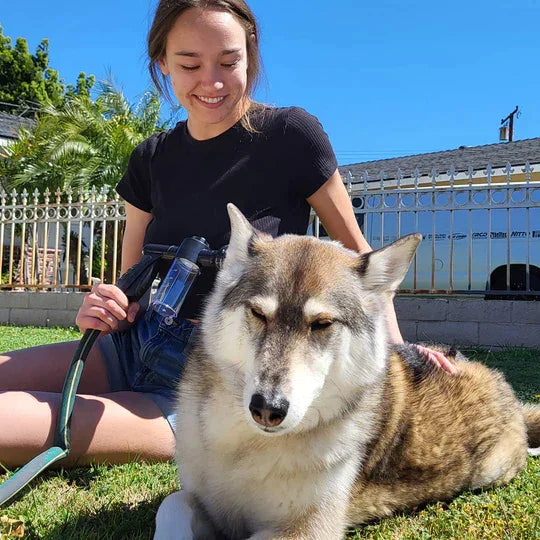 Pup | Honden douchekop met zeep