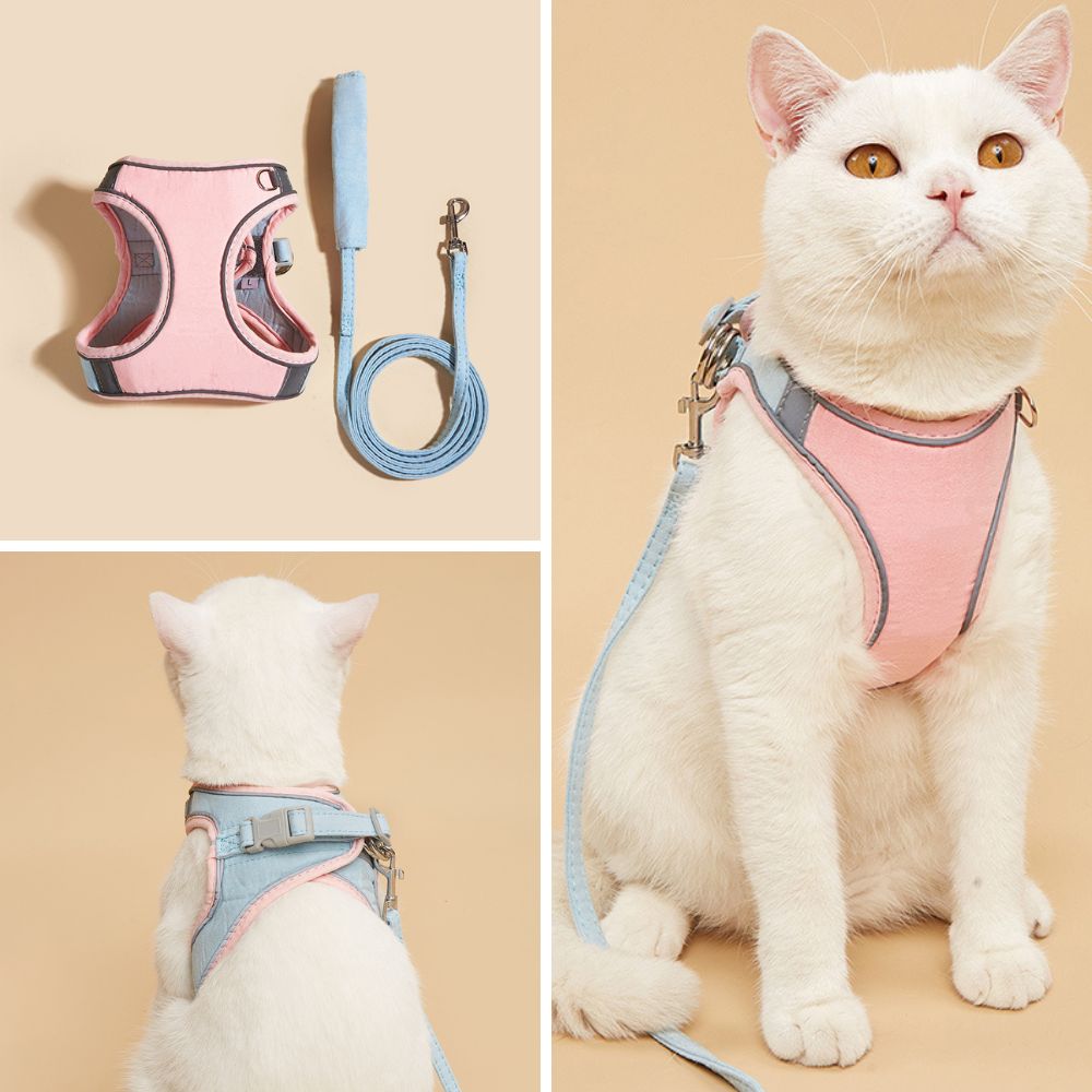Veilige en Beveiligde Katten Tuigje en Lijn Set