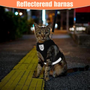 Lorena | reflectief kattenharnas | Riem en harnas | katten, Riem en accesoires, Wandelen | Huisdierentempel