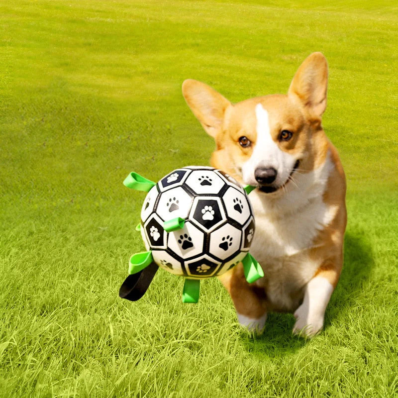 Jack | Interactieve honden bal | Balspeelgoed | honden, Spelen | Huisdierentempel