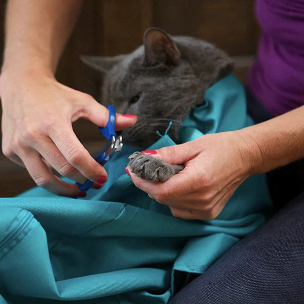 Handige Kattenvervoerder