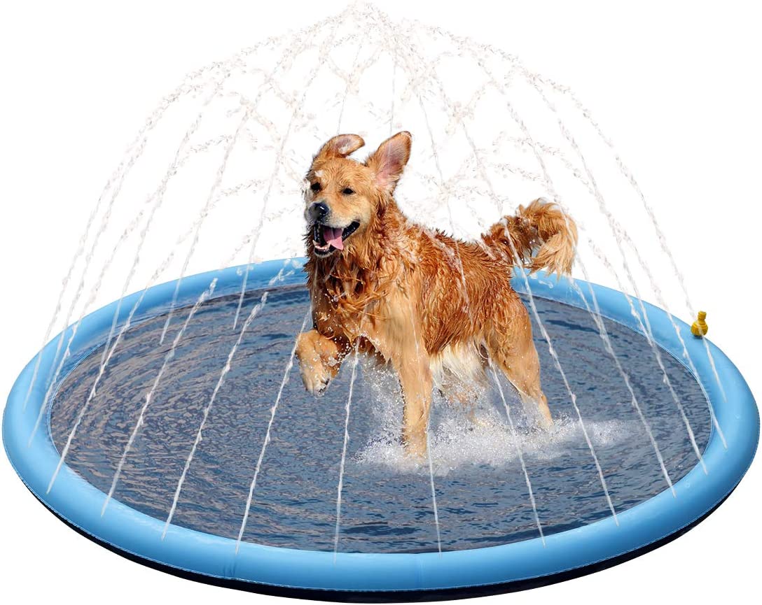 FunPup Splash Pool Maak Waterplezier voor je Pup