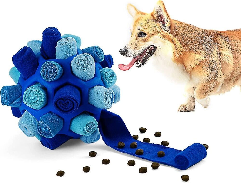 Storm | Sniffle bal in Blauw, – Huisdierentempel