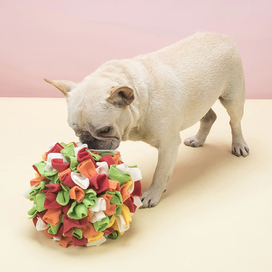 Storm | Sniffle bal in , – Huisdierentempel