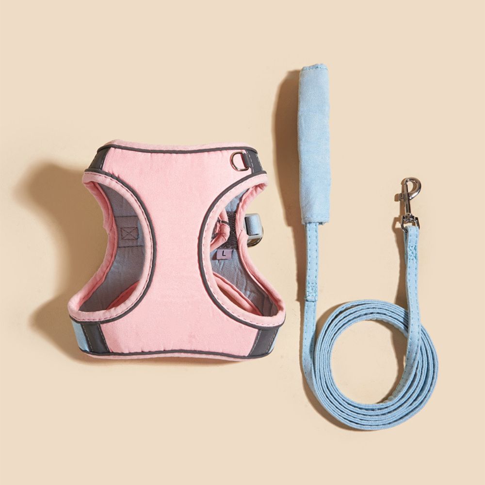 Veilige en Beveiligde Katten Tuigje en Lijn Set in , – Huisdierentempel