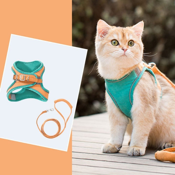 Veilige en Beveiligde Katten Tuigje en Lijn Set in , – Huisdierentempel