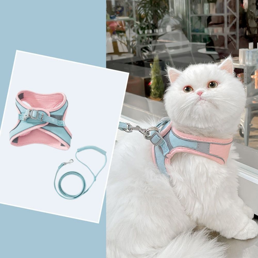 Veilige en Beveiligde Katten Tuigje en Lijn Set in , – Huisdierentempel