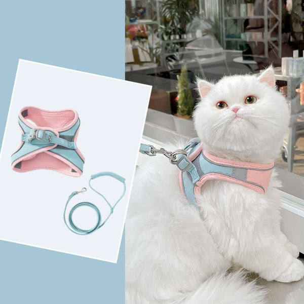 Veilige en Beveiligde Katten Tuigje en Lijn Set in , – Huisdierentempel