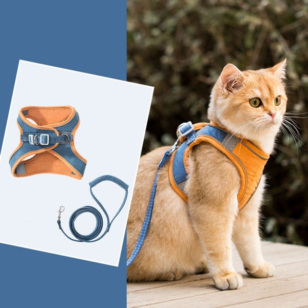 Veilige en Beveiligde Katten Tuigje en Lijn Set in , – Huisdierentempel