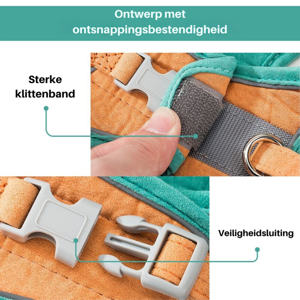 Veilige en Beveiligde Katten Tuigje en Lijn Set in , – Huisdierentempel