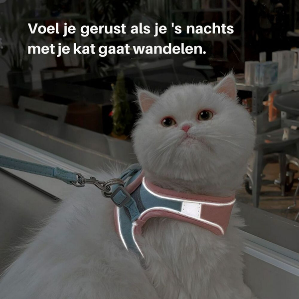 Veilige en Beveiligde Katten Tuigje en Lijn Set in , – Huisdierentempel