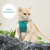 Veilige en Beveiligde Katten Tuigje en Lijn Set in , – Huisdierentempel