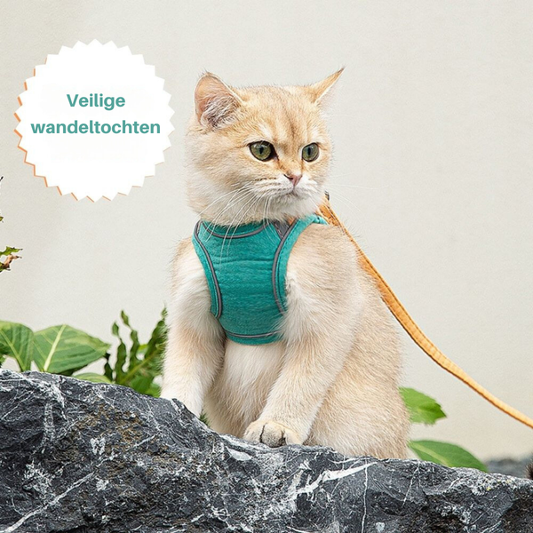 Veilige en Beveiligde Katten Tuigje en Lijn Set in , – Huisdierentempel