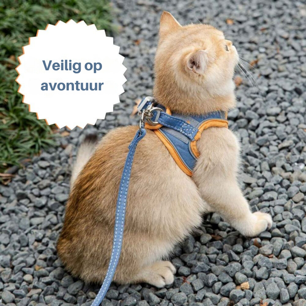 Veilige en Beveiligde Katten Tuigje en Lijn Set in , – Huisdierentempel