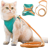 Veilige en Beveiligde Katten Tuigje en Lijn Set in Oranje | Teal, Klein – Huisdierentempel