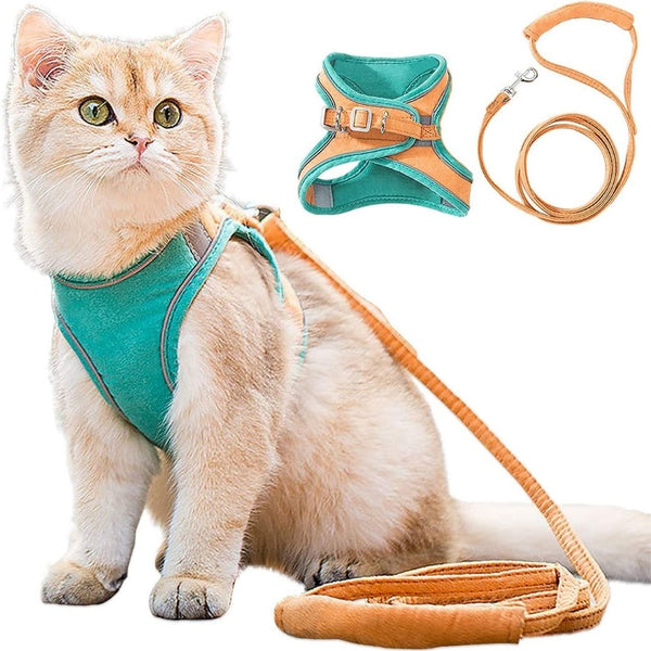 Veilige en Beveiligde Katten Tuigje en Lijn Set in Oranje | Teal, Klein – Huisdierentempel