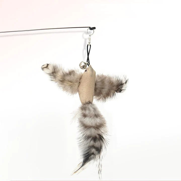 Vogeltje | Kattenspeeltje in , – Huisdierentempel