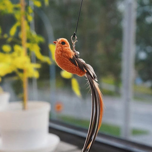 Vogeltje | Kattenspeeltje in , – Huisdierentempel