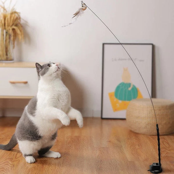 Vogeltje | Kattenspeeltje in , – Huisdierentempel